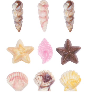 Baking Supplies, Baking Ingredients and Cake Design *  Chocolate Mould Seashells